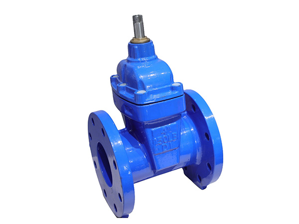 NRS Resilient Seated Gate Valve