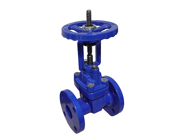Rising Stem Resilient Gate Valve